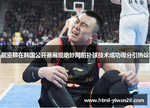 戴资颖在韩国公开赛展现绝妙网前扑球技术成功得分引热议