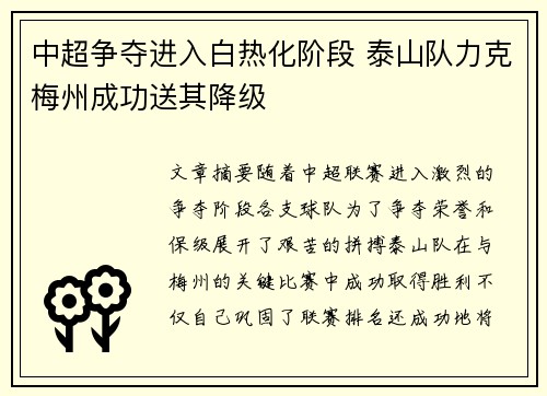 中超争夺进入白热化阶段 泰山队力克梅州成功送其降级