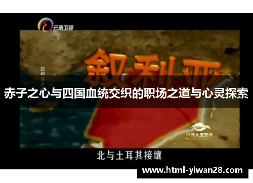 赤子之心与四国血统交织的职场之道与心灵探索