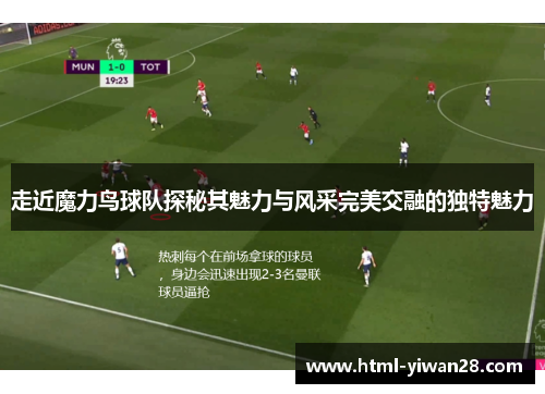 走近魔力鸟球队探秘其魅力与风采完美交融的独特魅力