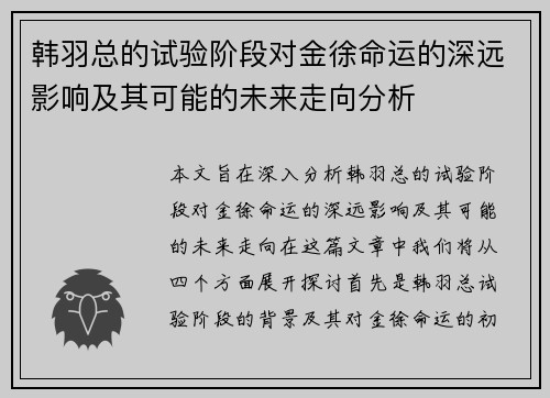 韩羽总的试验阶段对金徐命运的深远影响及其可能的未来走向分析